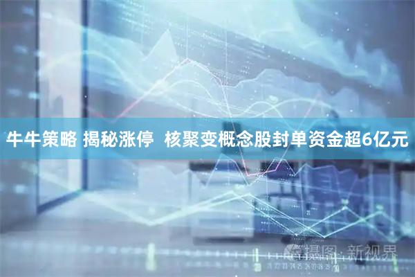 牛牛策略 揭秘涨停  核聚变概念股封单资金超6亿元