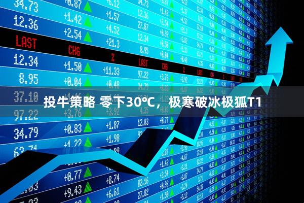 投牛策略 零下30℃，极寒破冰极狐T1
