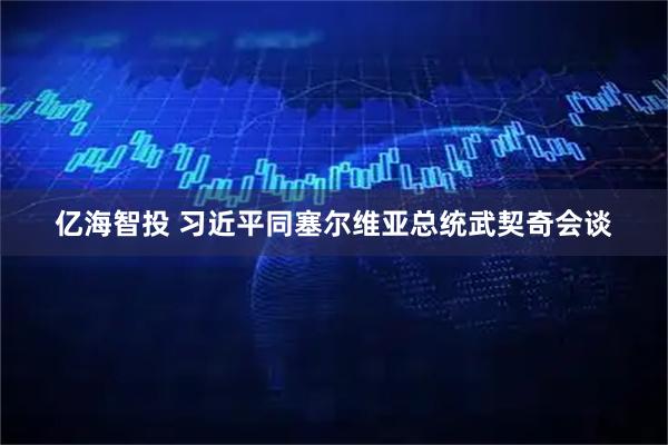 亿海智投 习近平同塞尔维亚总统武契奇会谈