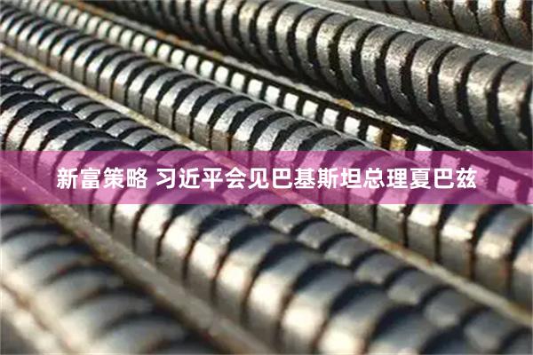 新富策略 习近平会见巴基斯坦总理夏巴兹